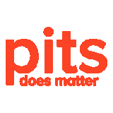 PITS Global Data Recovery Services 